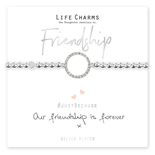 Friendship Bracelet